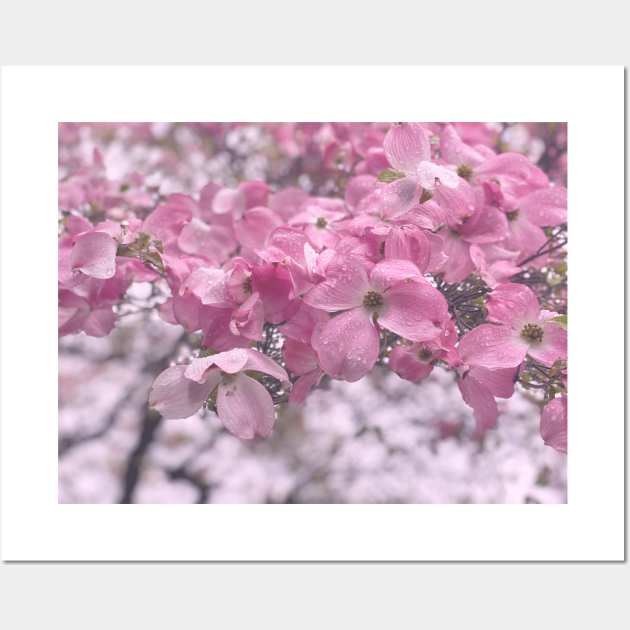 Pink Flowers in Spring Wall Art by Nicholas Lee